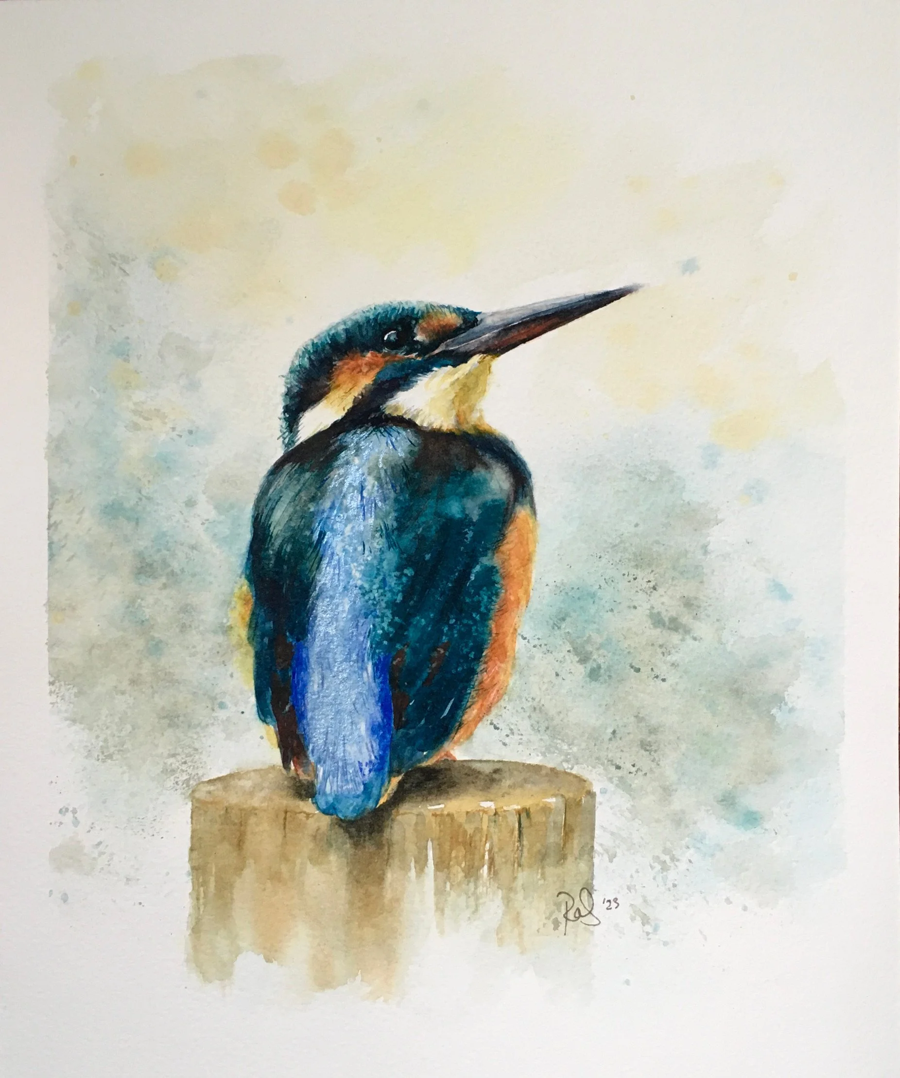 Kingfisher2.jpg