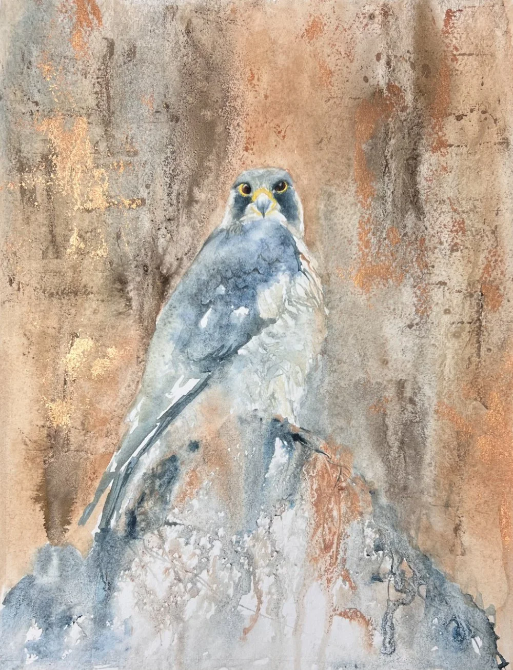 Watercolour and acrylic ink painting of a peregrine perched on a rock gazing down at the viewer