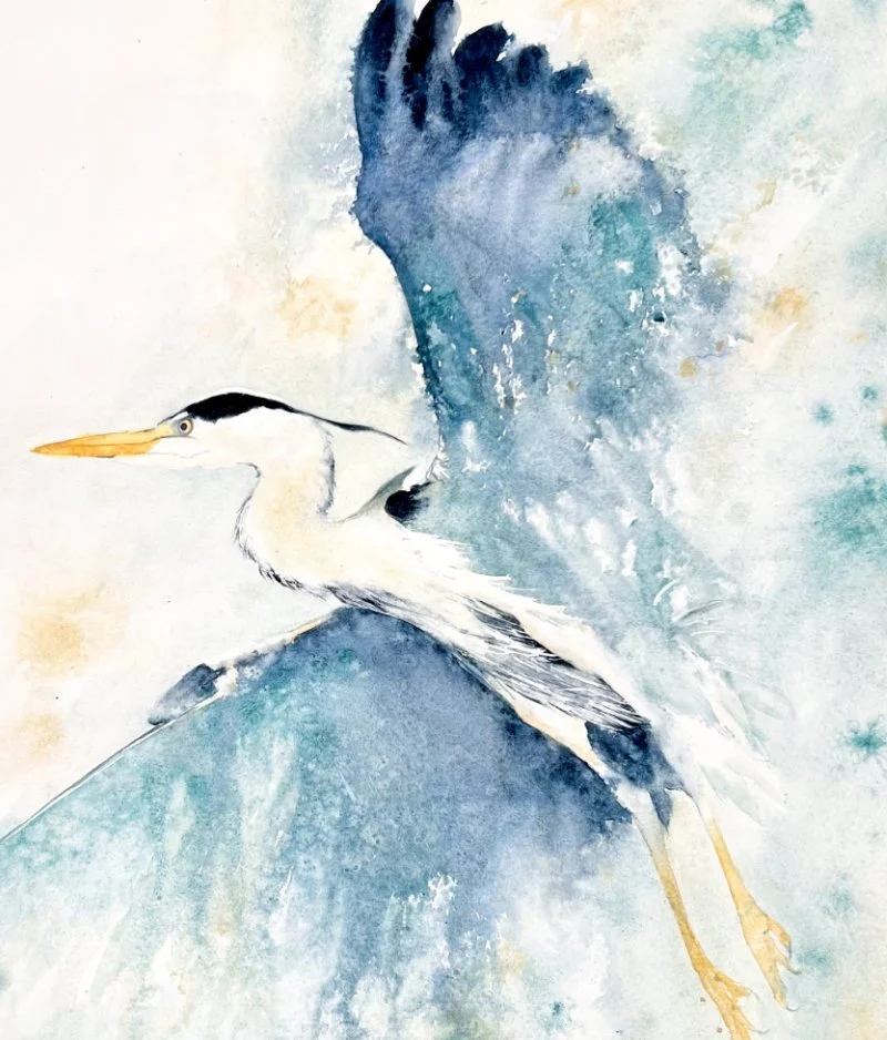 Heron - ‘Conducting the Wind'