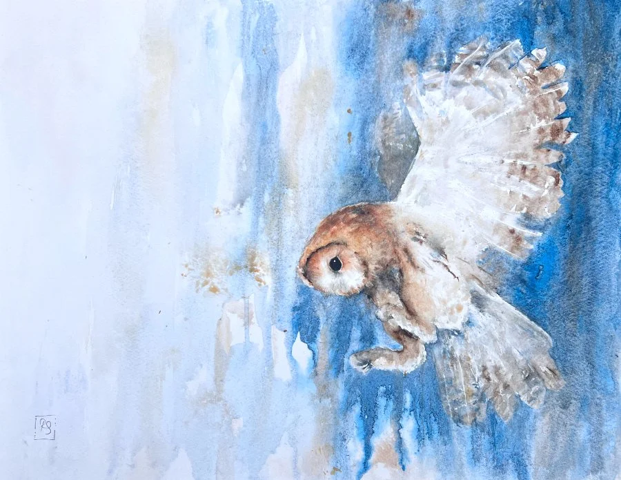 TawnyOwl_2026_whole.jpg