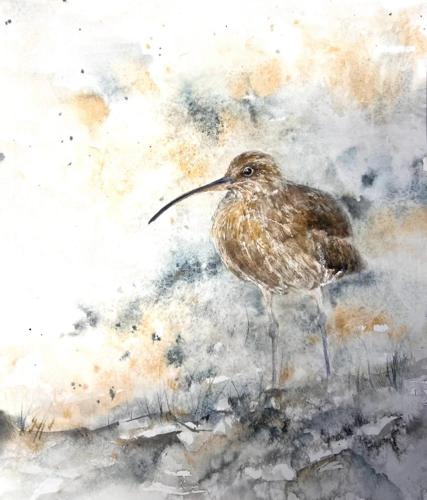 Watercolour painting of a curlew amongst the marsh grass