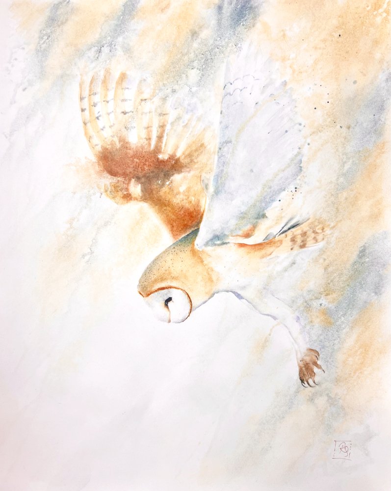 Watercolour painting of a barn owl in flight, swooping down from the sky in a blur of ochre and lunar blue