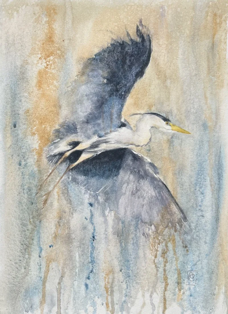 Watercolour painting of a heron in flight with wings outstretched on a gentle abstract background