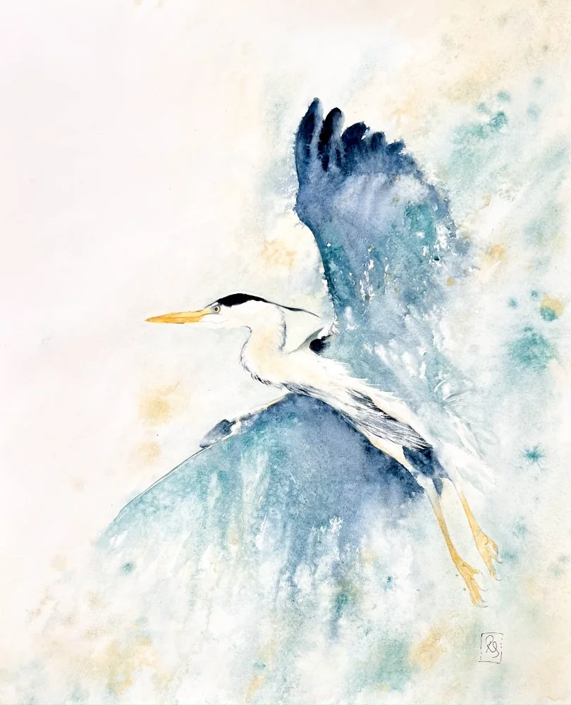 WADERS & WATER BIRDS
