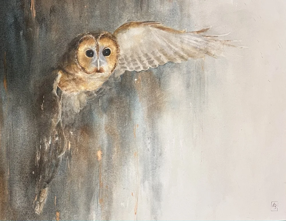 watercolour painting in deep greys and soft browns of a tawny owl appearing out of the night