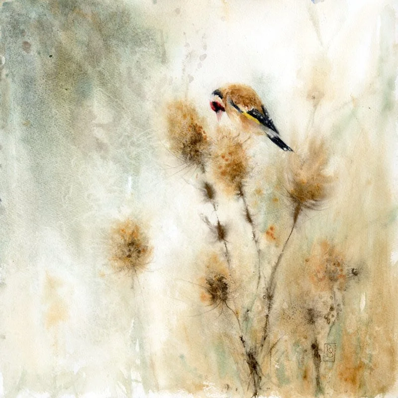Watercolour and acrylic ink painting of a goldfinch plucking at teasel seeds