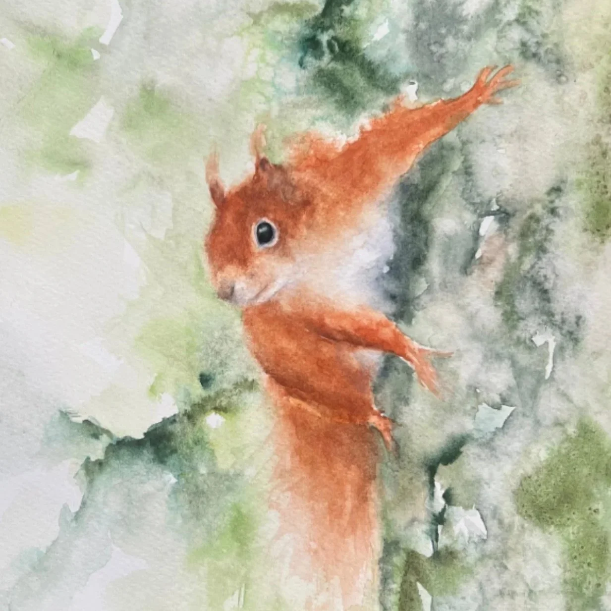 watercolour painting of a red squirrel on the side of a tree