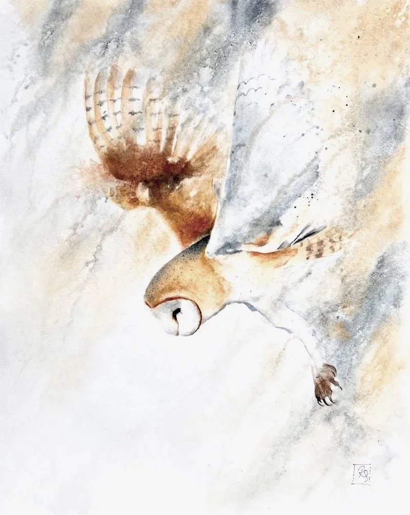 Watercolour painting of a barn owl swooping down to land with wings outstretched