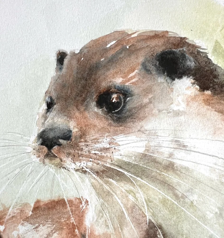 Otter_grass_face.jpg