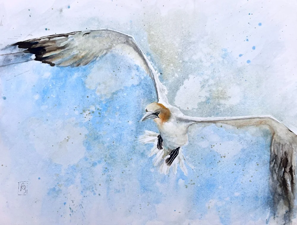The completed painting: a large painting of a northern gannet in flight with wings outstretched