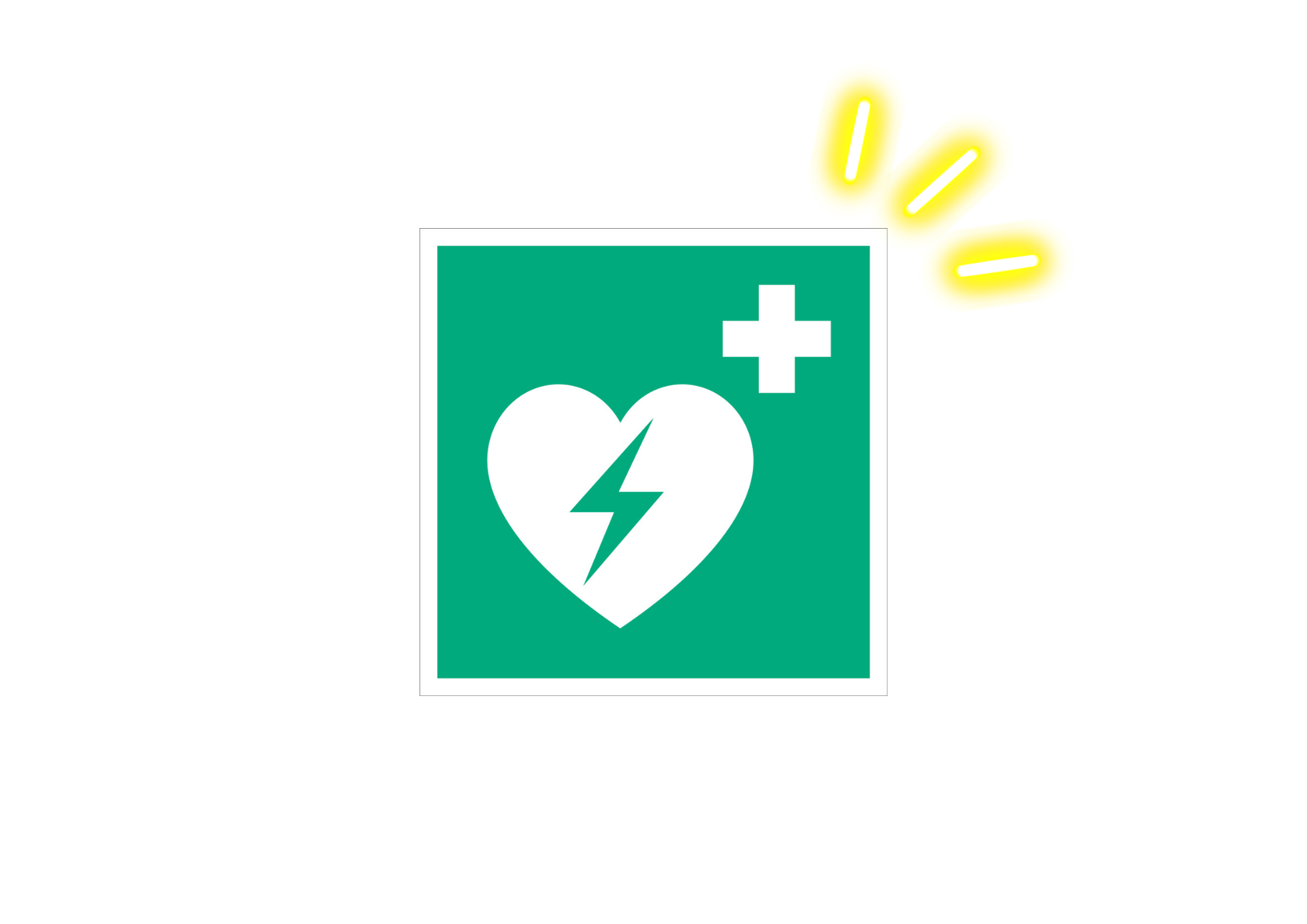 Defibrillator Schild nachleuchtend ISO Norm
