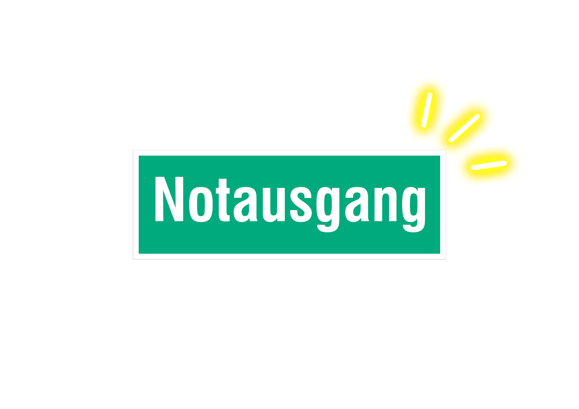 Notausgang Schild nachleuchtend ISO Norm
