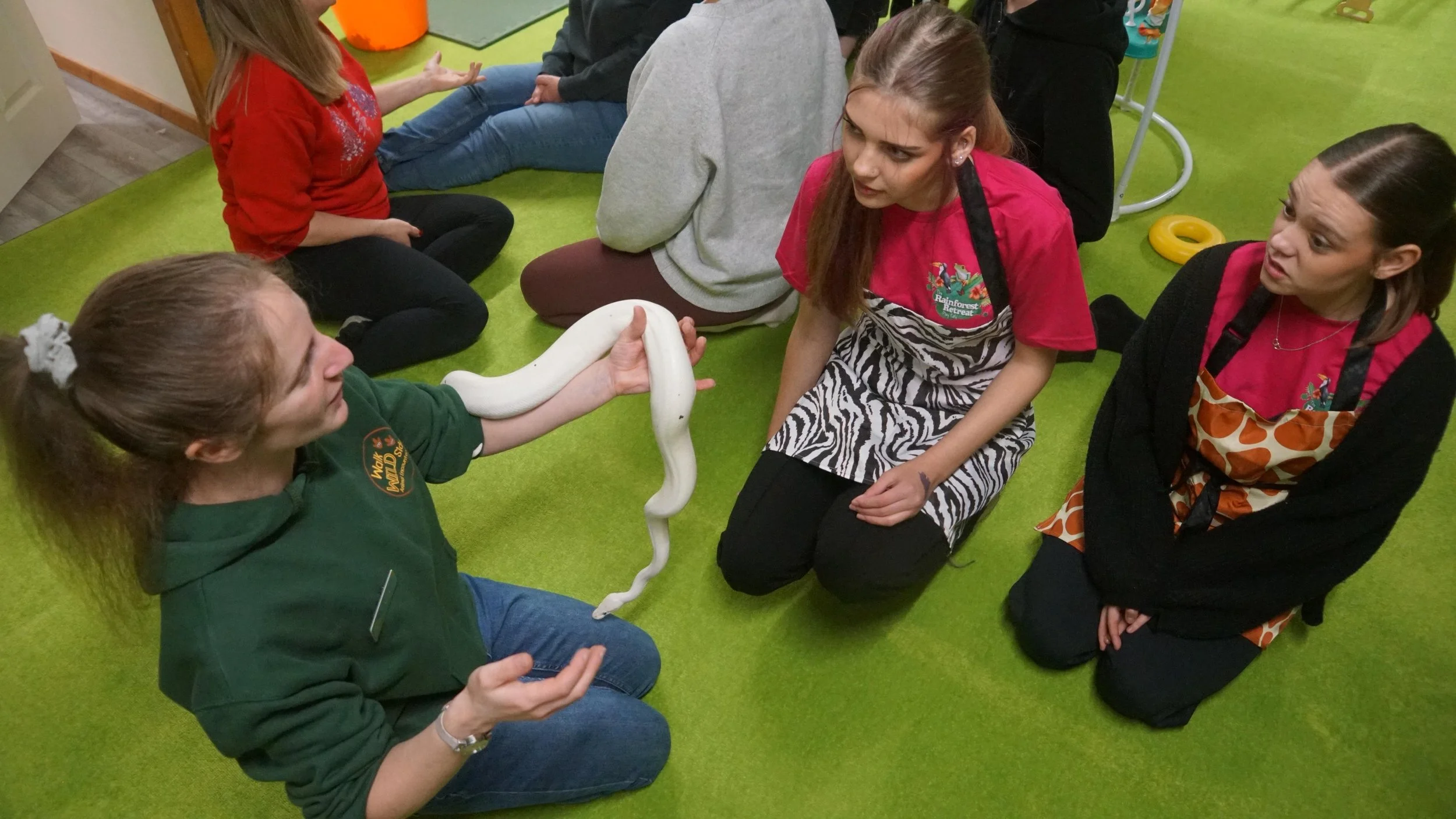 A girl in a green hoodie showing a white snake to two women, one with a zebra print apron, in a room with green flooring and other children in the background.