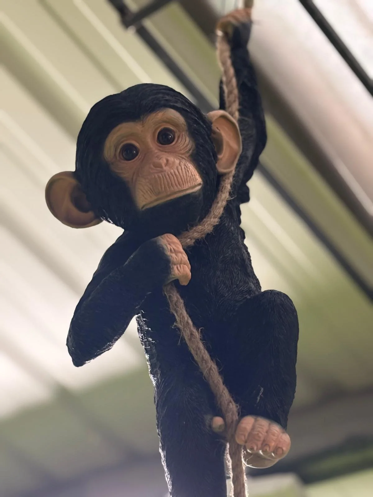 A monkey-shaped toy hanging from a rope, viewed from below, with a background of a ceiling and supporting beams.