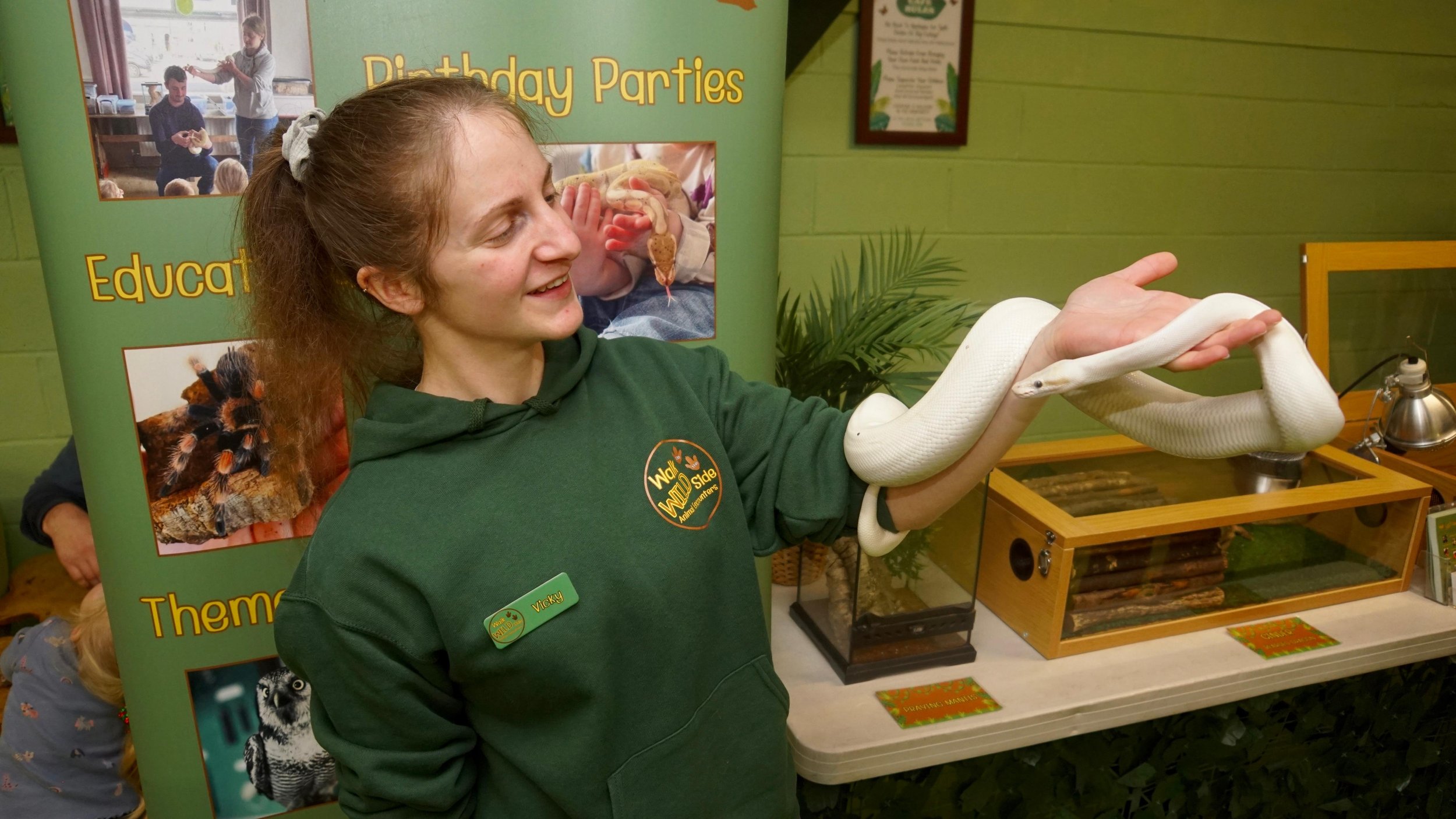 A woman holding a white snake at an animal educational display in an indoor setting.