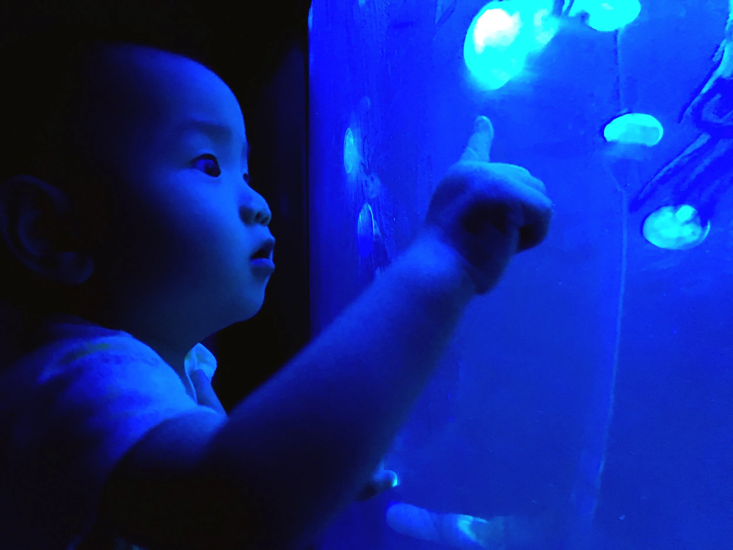 A young child with short hair and a white shirt is looking at glowing jellyfish in a dark aquarium, touching the glass with one hand.