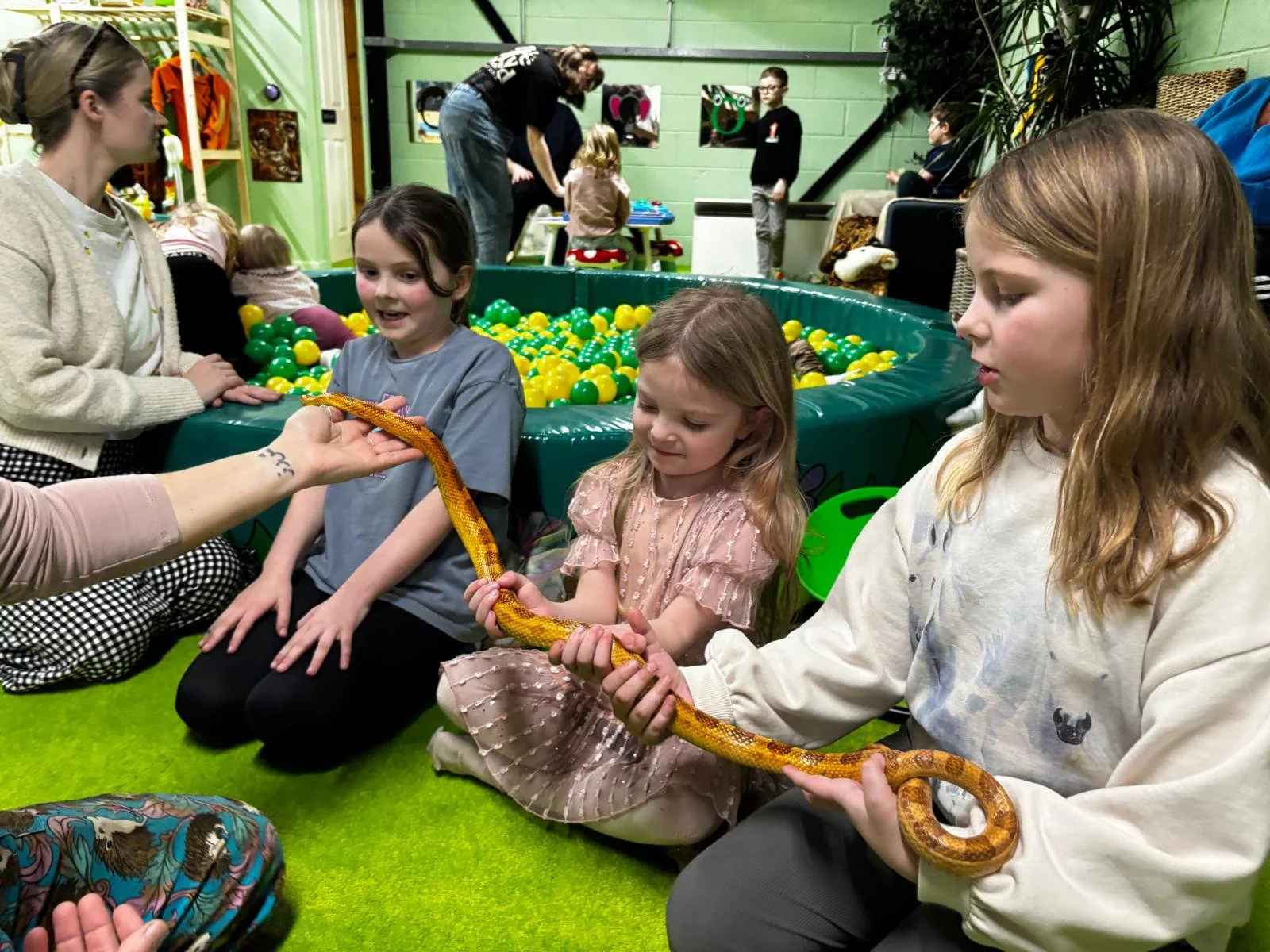 Children and adults holding a colorful snake in a play area with a ball pit and children playing in the background.