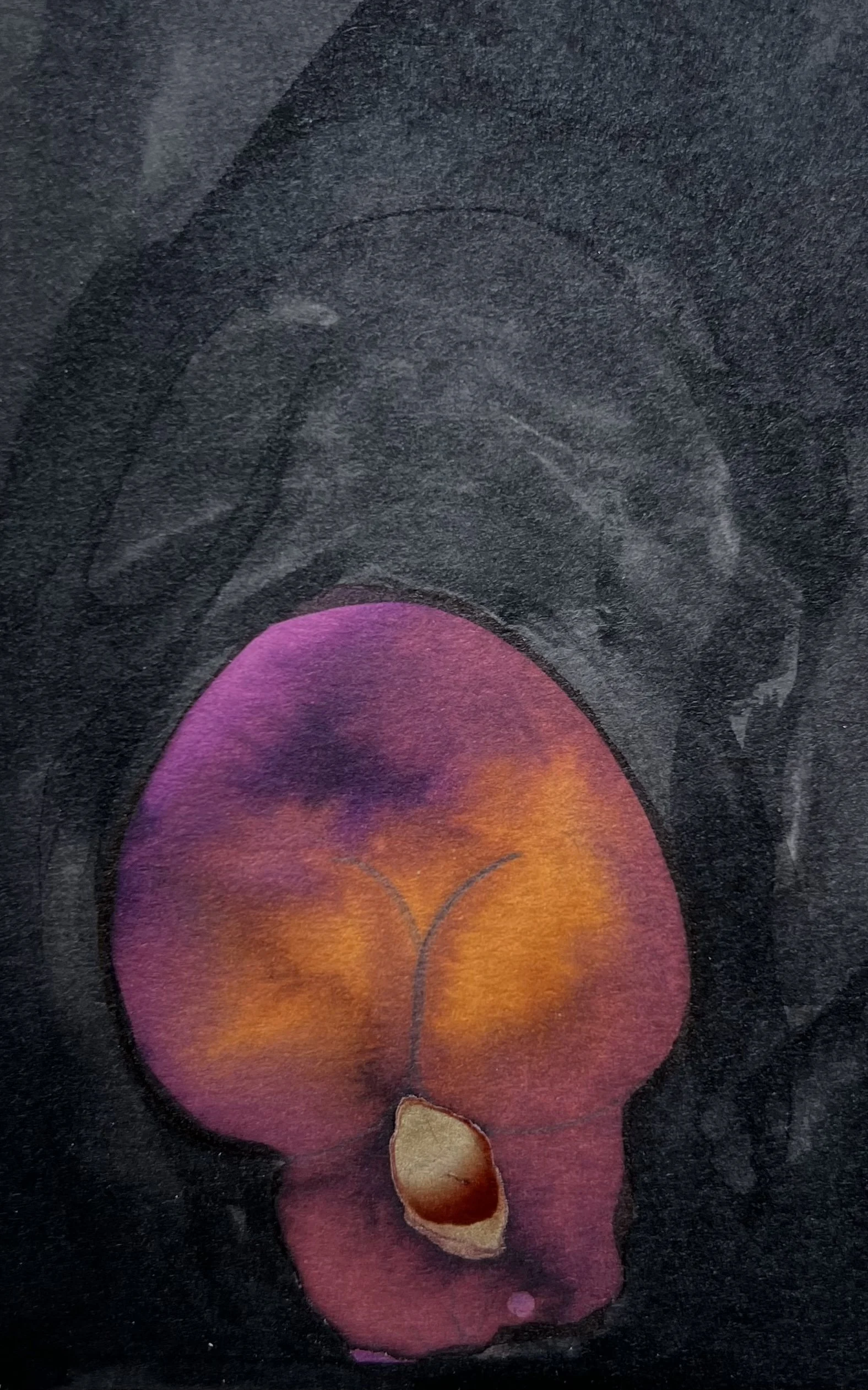 Titel 2026,
watercolor on paper
11,5  x 17,0 cm