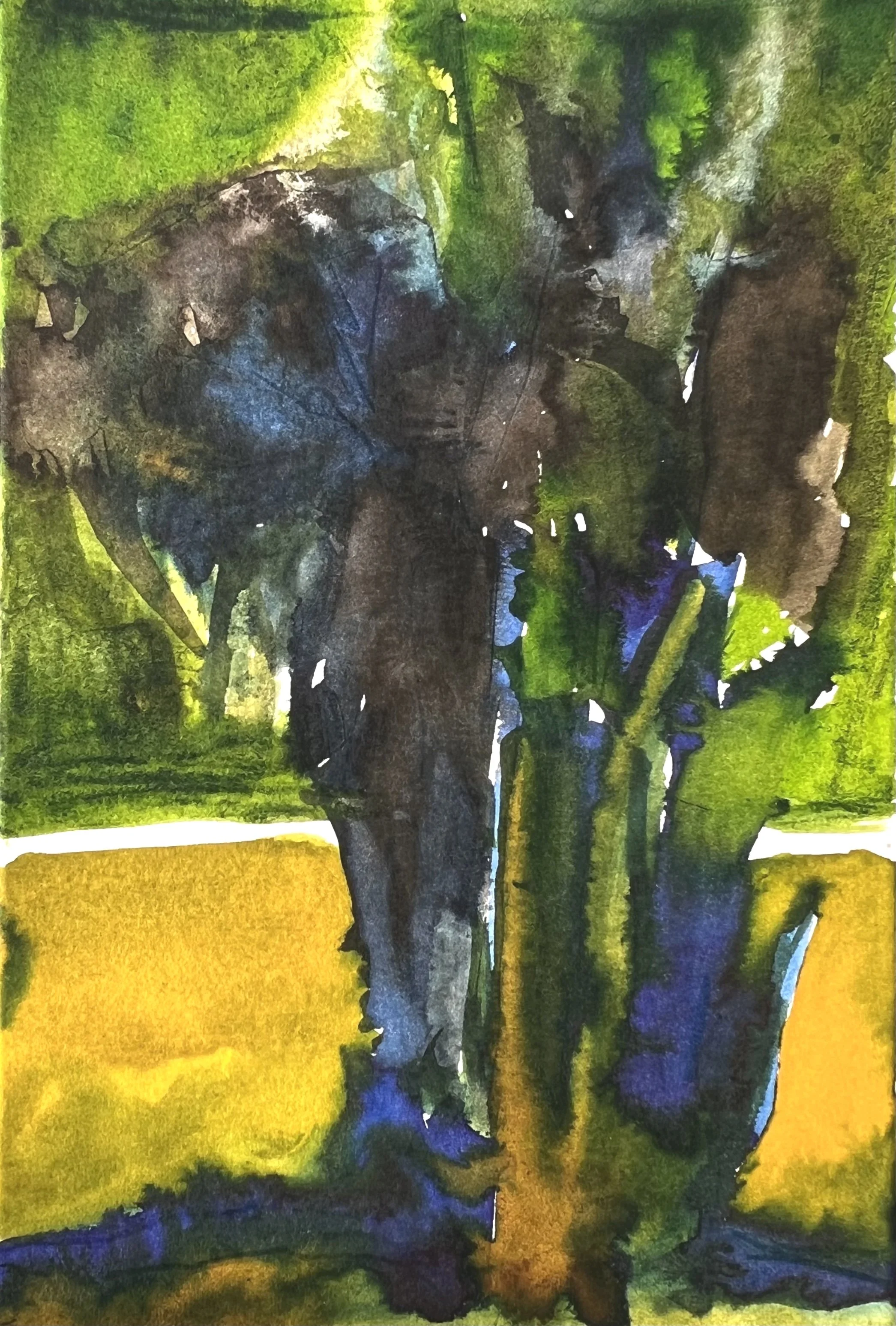 Wasserbaum 2024,
watercolor on paper
10,5 x 14,8 cm