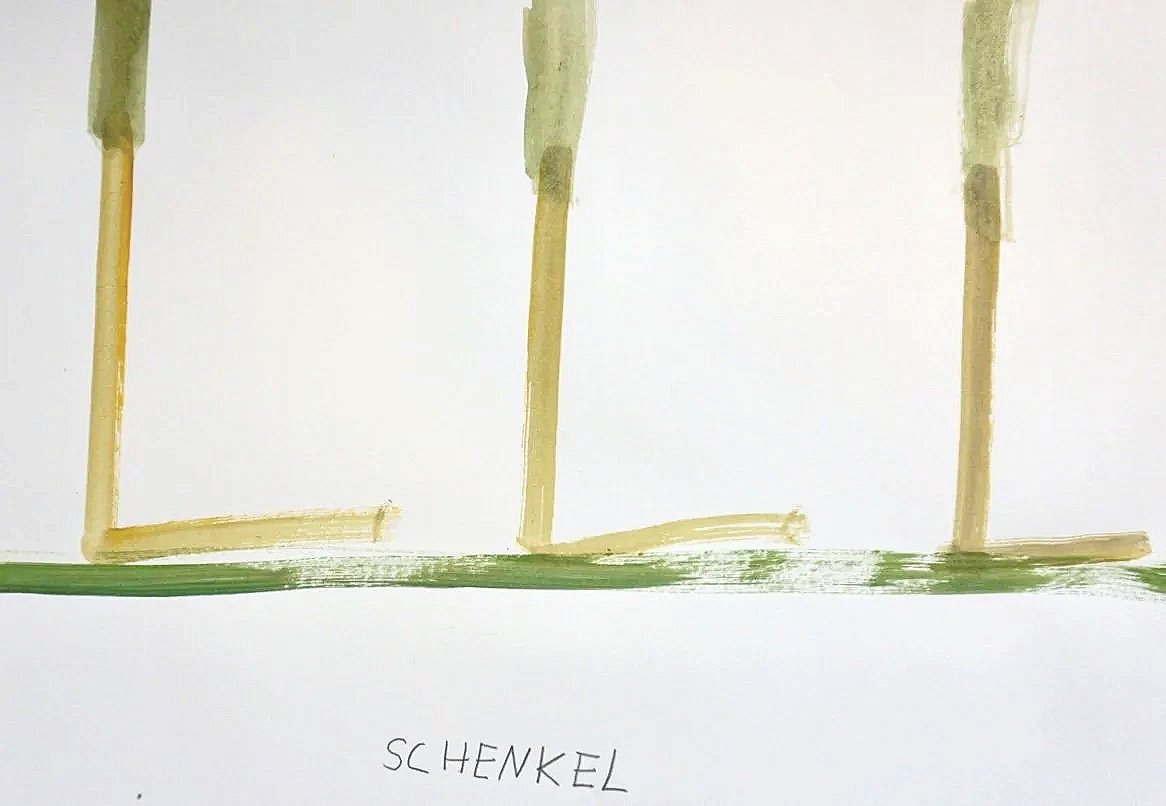 Schenkel 2024,
acrylic and graphite on paper
42,0 x 29,7 cm