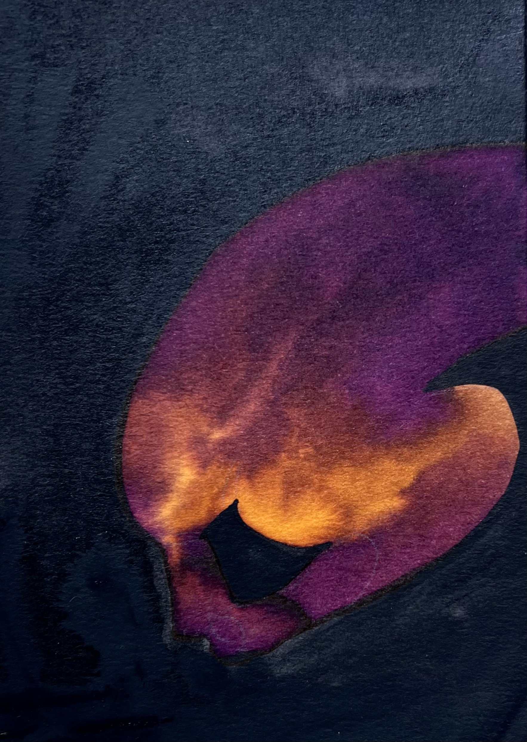 Titel 2026,
watercolor on paper
11,5  x 17,0 cm