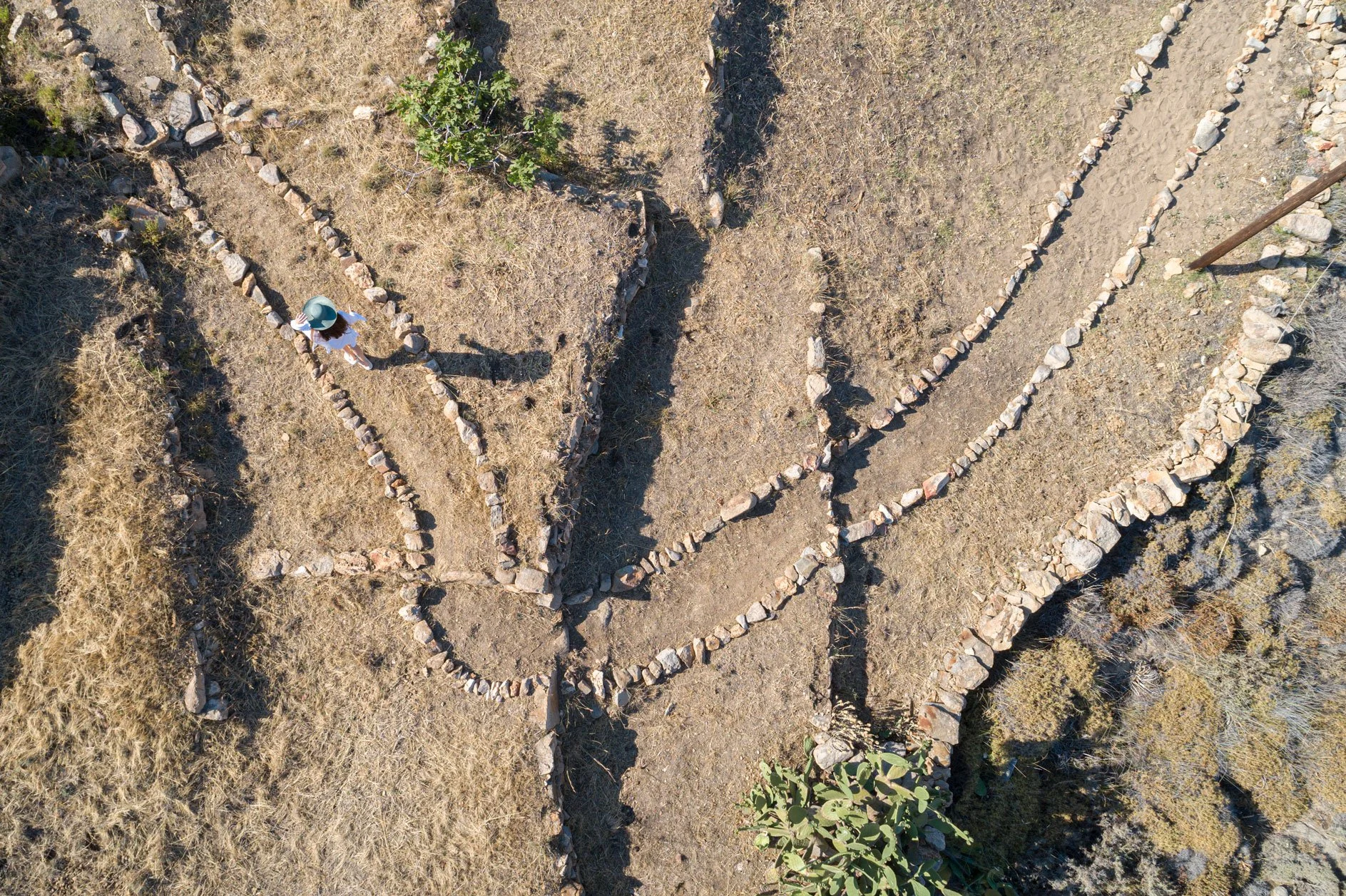 A person wearing a light blue hat walking on a dry, grassy ground along a winding stone path in an outdoor setting.