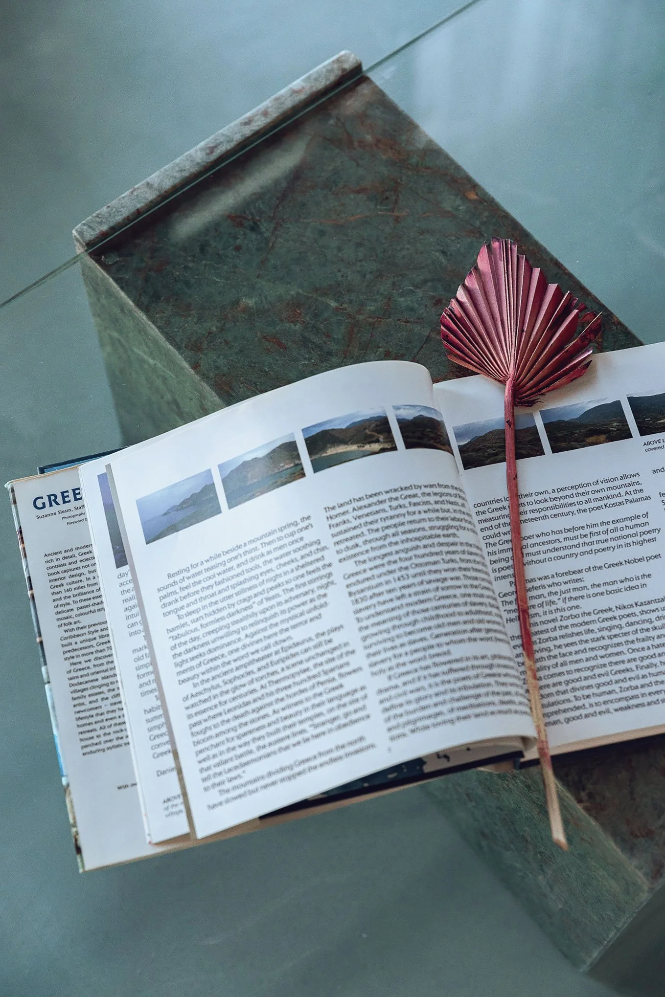 An open travel guidebook on a marble surface with a dried red palm leaf placed on top, and a grayish table underneath.