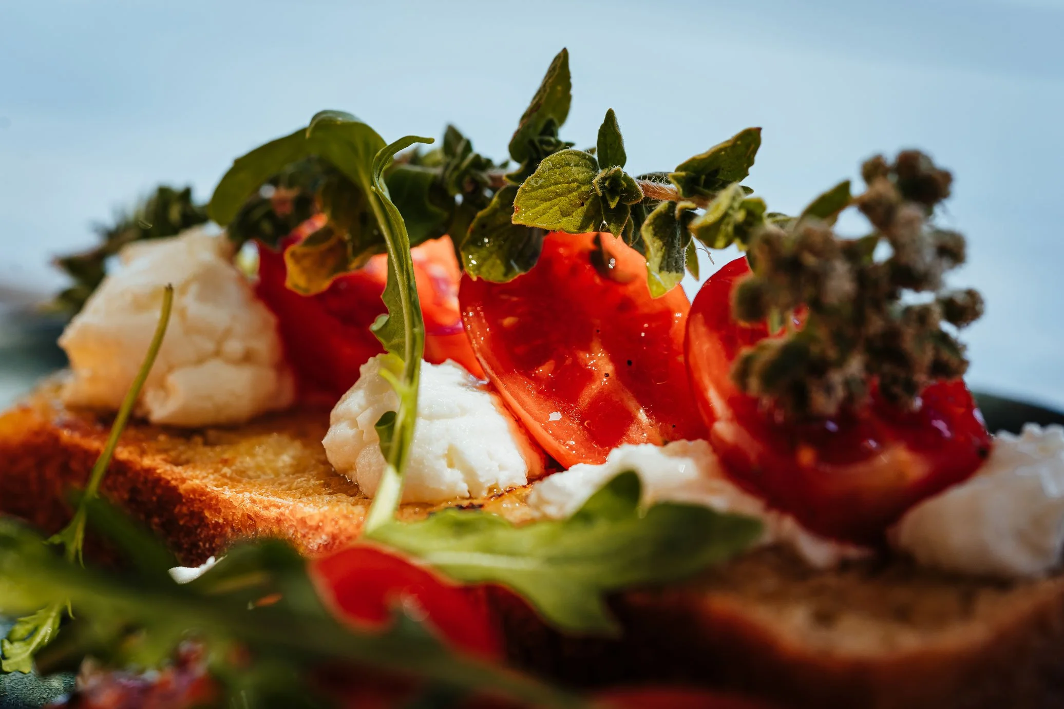 Close-up of a piece of toasted bread topped with cherry tomatoes, fresh herbs, whipped cheese, and garnished with green arugula leaves.