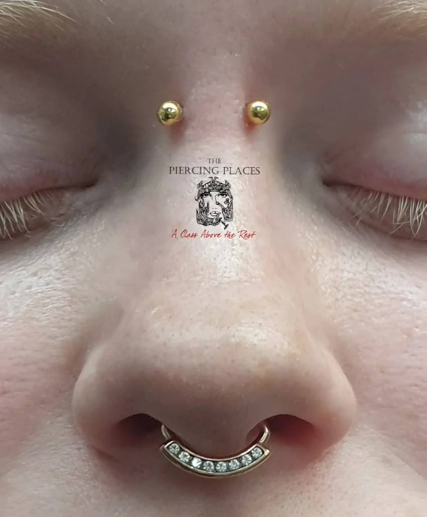Body-Piercing-Perth-The-Piercing-Places-Perth-Fremantle-bridge-piercing
