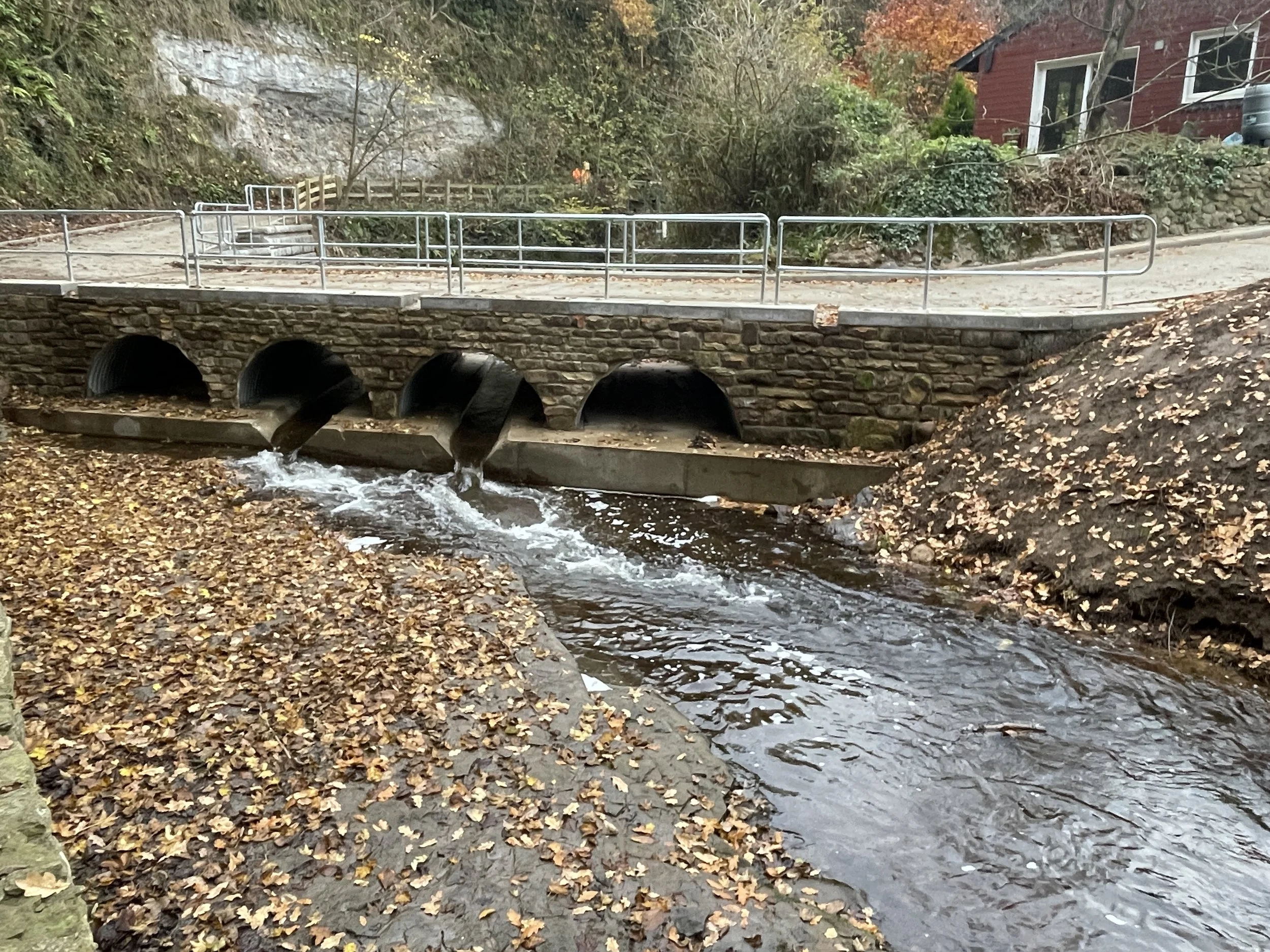 Opening the way for nature 