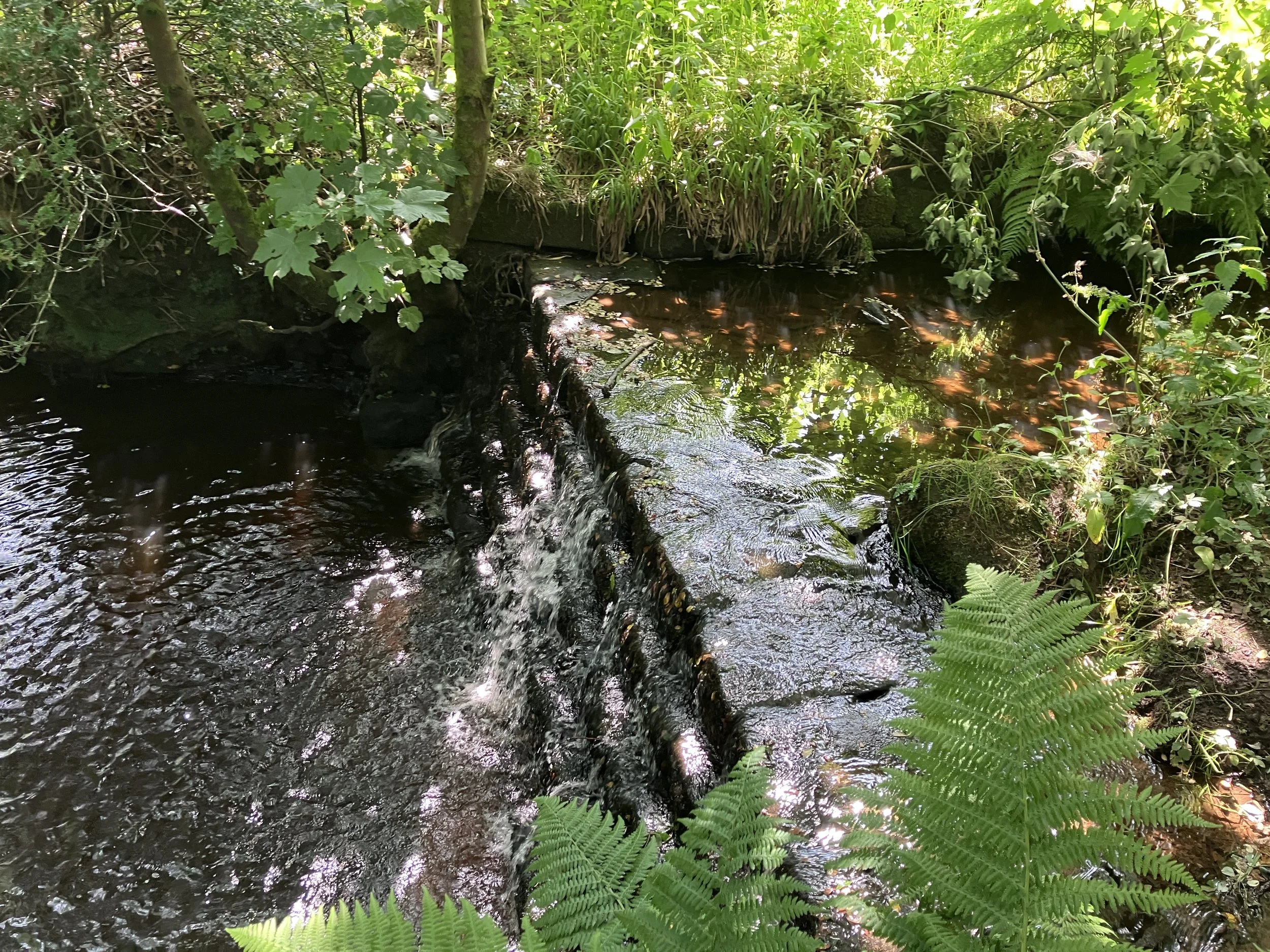 New GYR Funding Routes