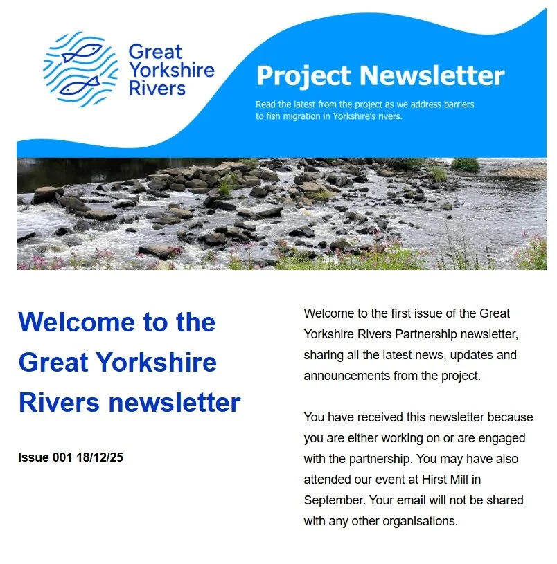 A screenshot of the partnership December newsletter.