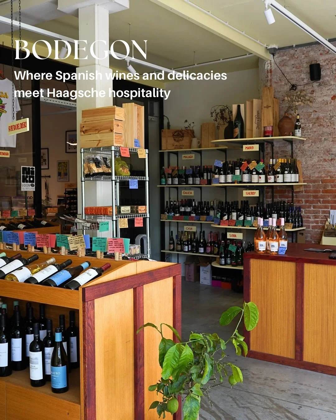 POP Studio welcomes @bodegon_thehague , founded by sommeliers Pablo &amp; Marte in 2023 and is a true slice of Spain in The Hague. This vibrant spot celebrates the art of Spanish wine and flavor. From natural reds to crisp whites, jam&oacute;n to con