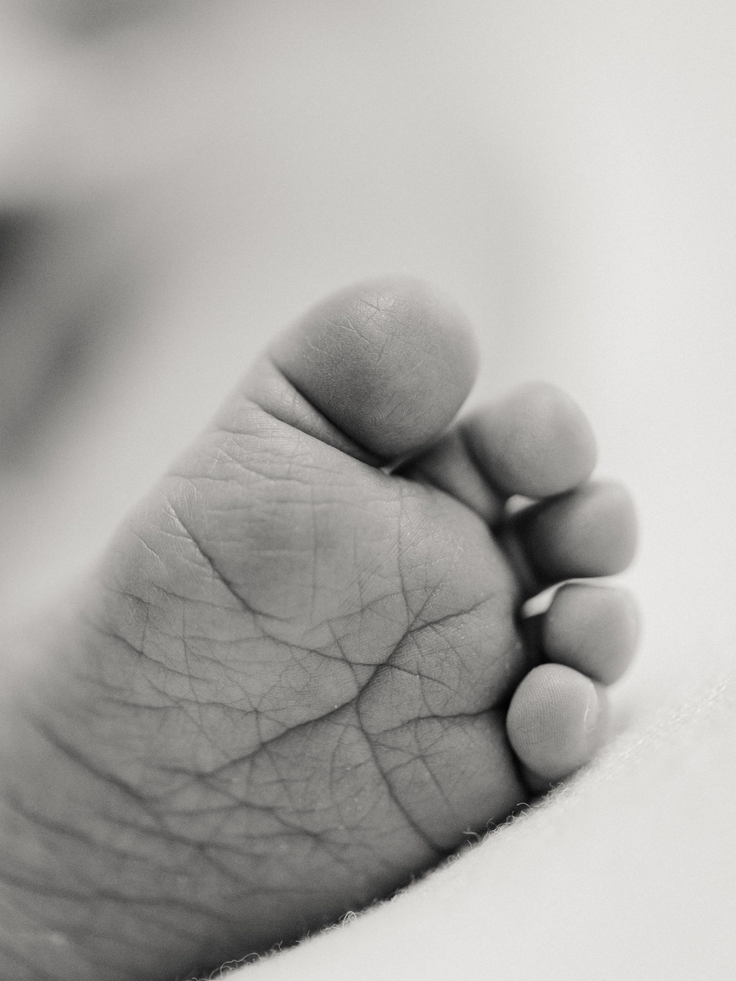Black and white close-up of a newborn baby's tiny foot