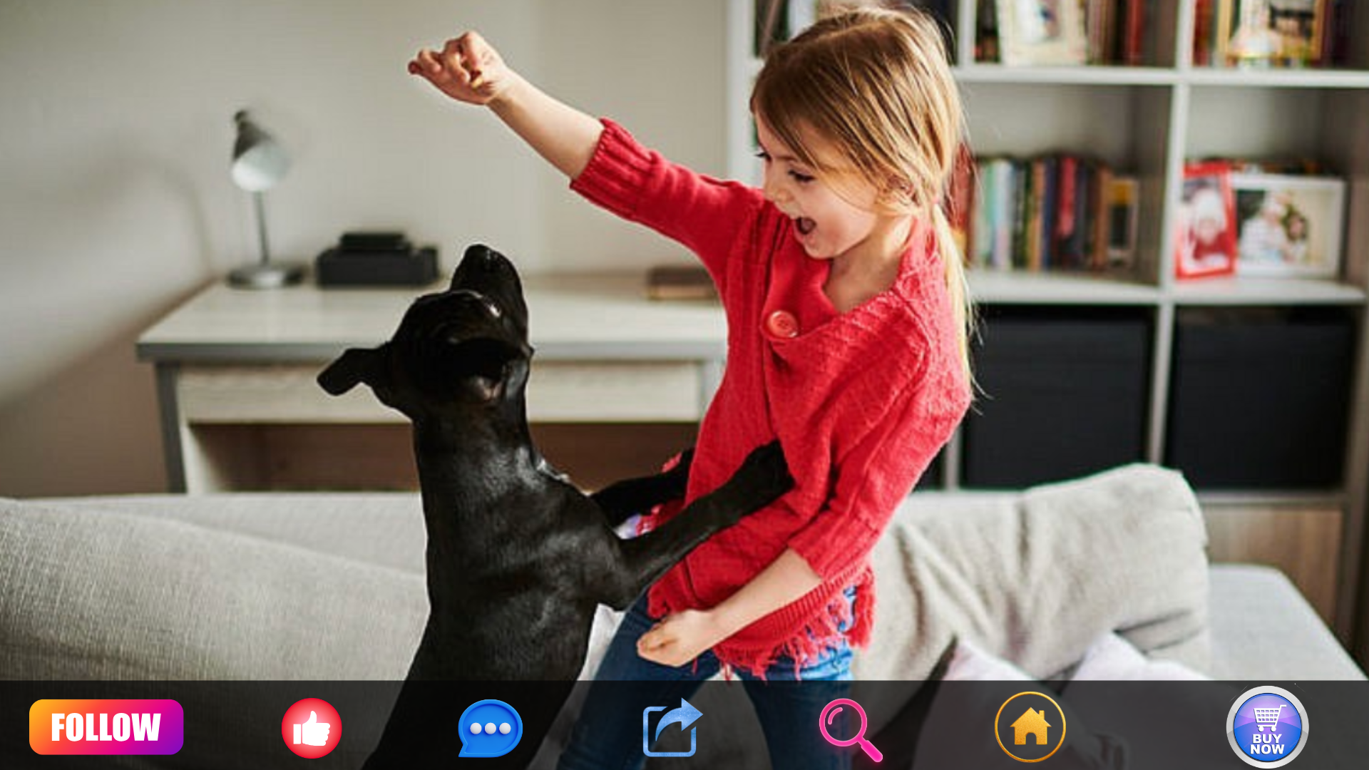 DOG TRICKS FOR EVERY PUP
12K views | 14 days ago
