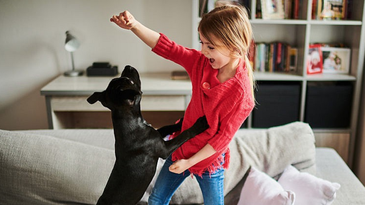 Screen Shot 2021-03-01 at 5.37.43 PM.png