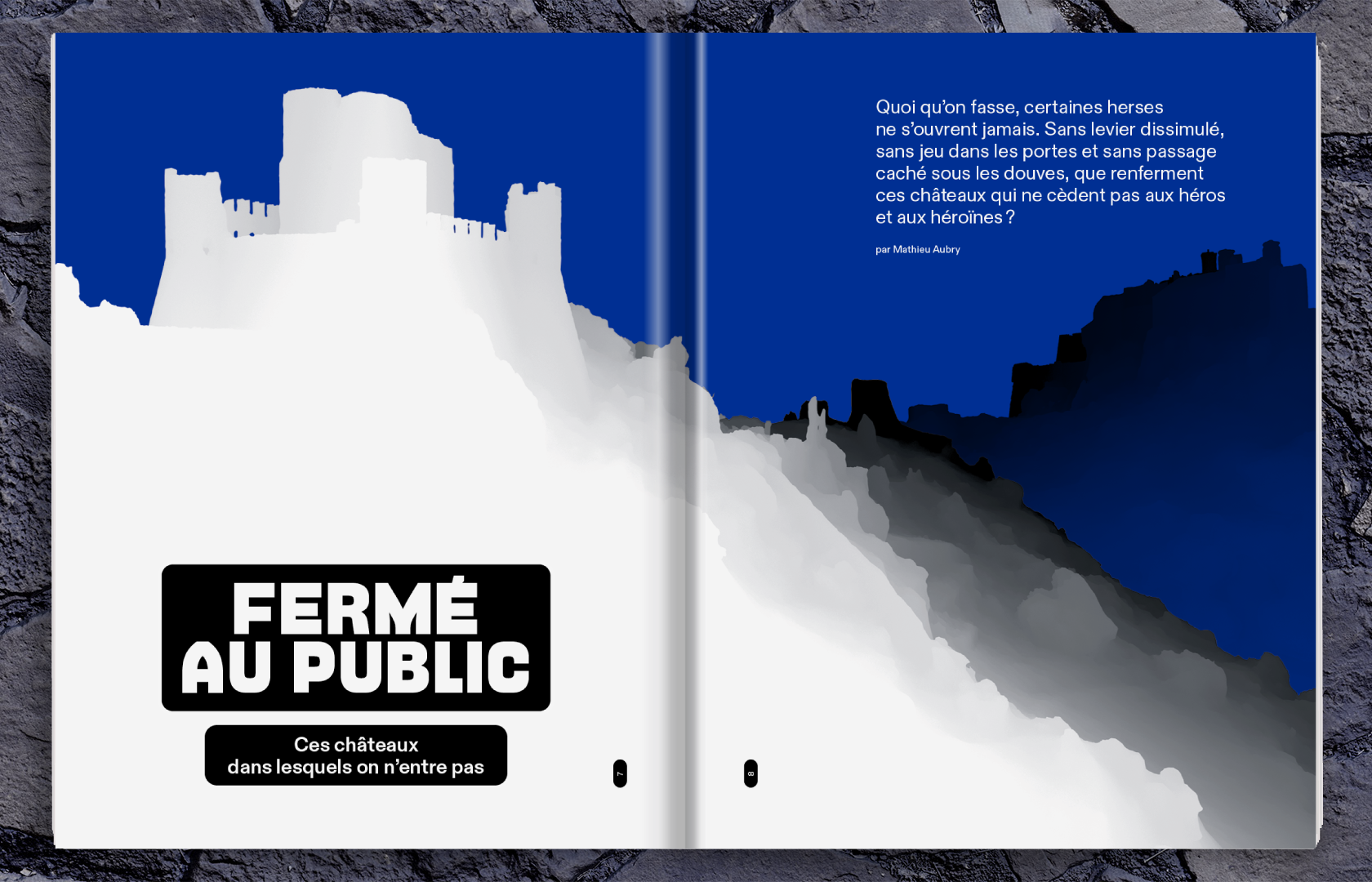 Double-2(1).png (copie) (copie) (copie)