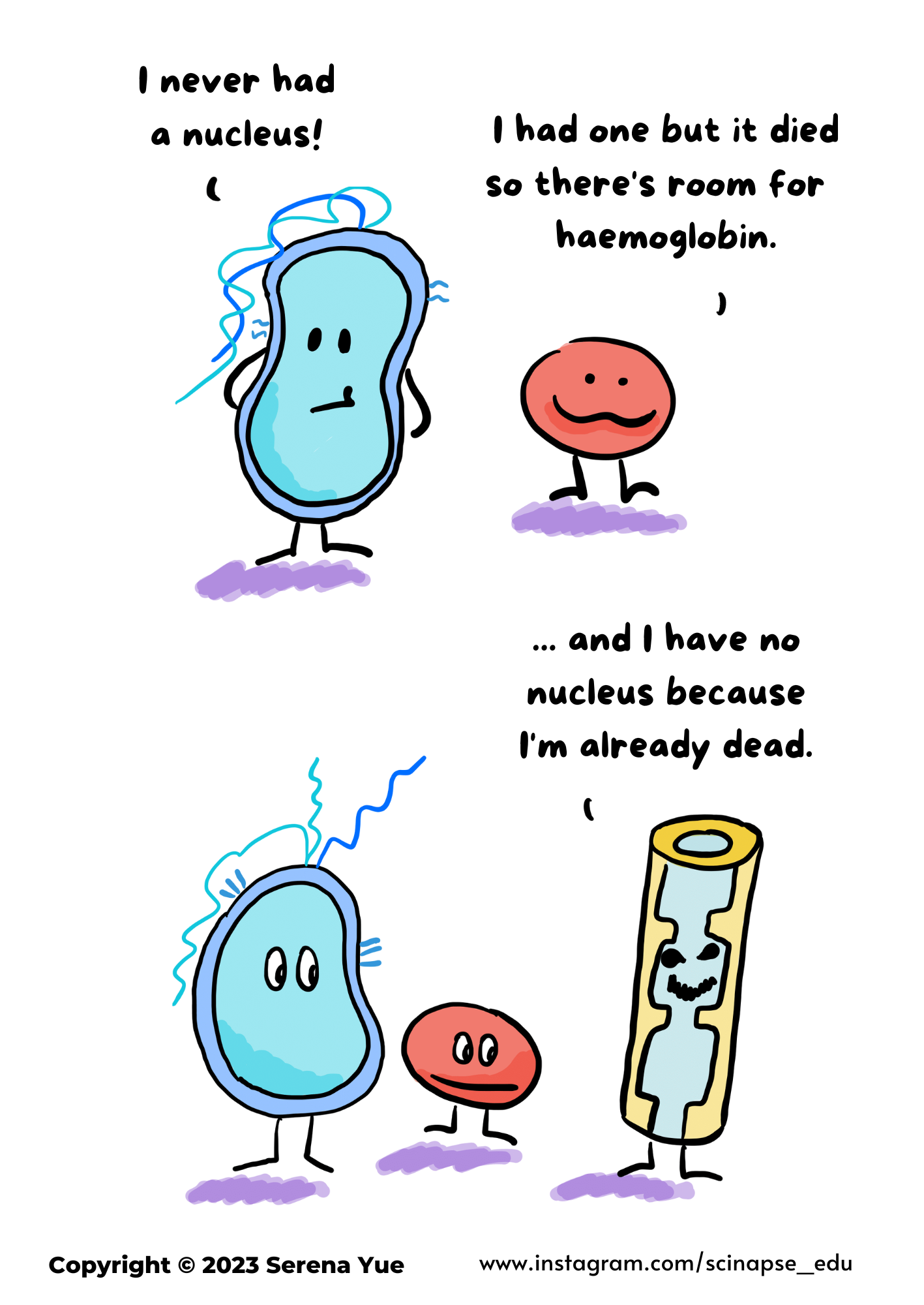 Biology inside front cover.png