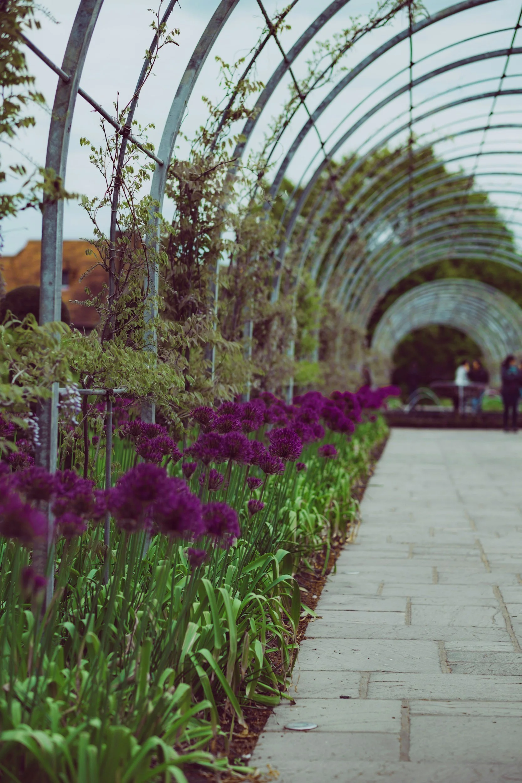Verbraucherwiderruf im Gartenbau – Kein Geld trotz Leistung?
