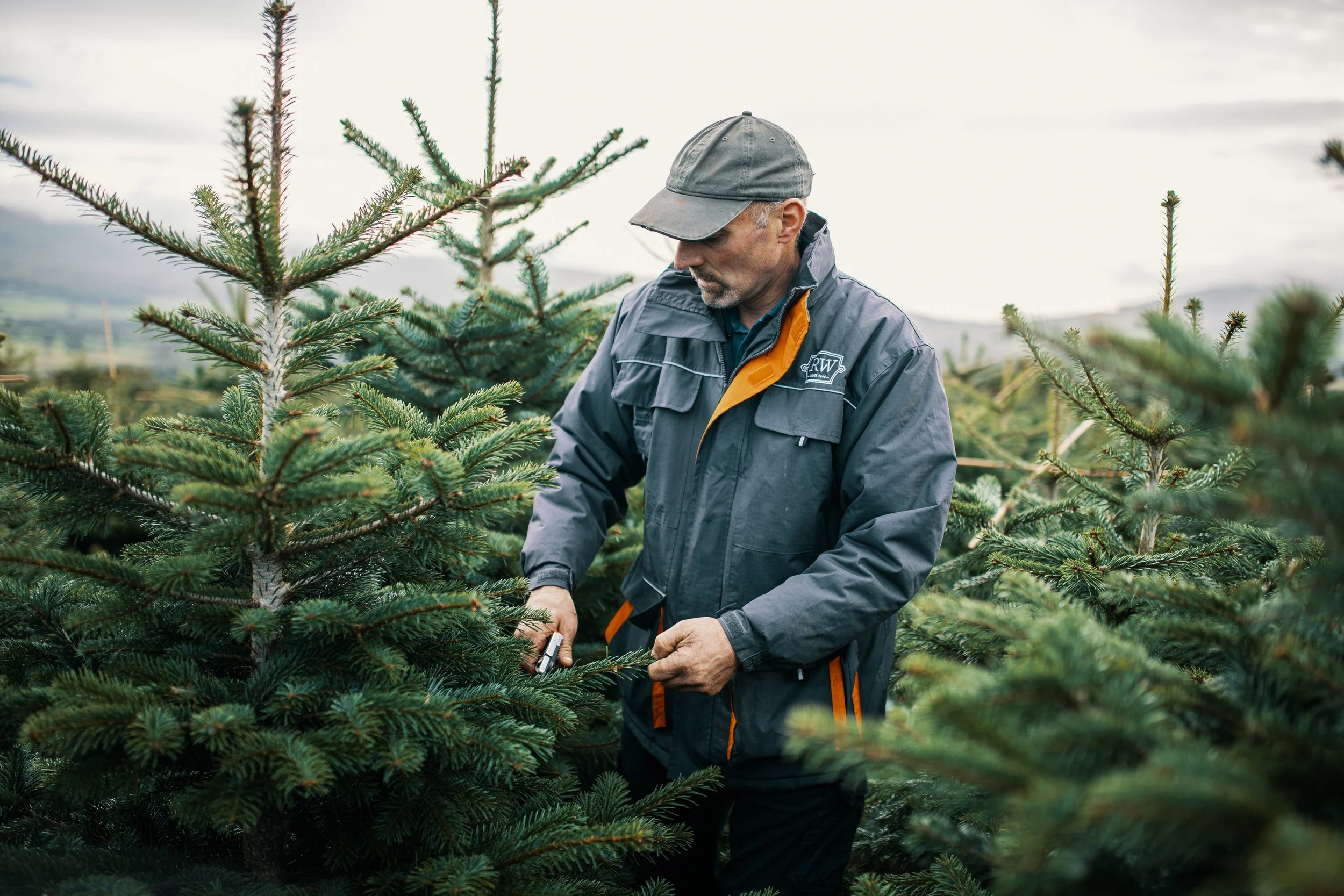 5 Reasons Irish SMEs Are Shifting Budget to "Customer Journey" Videos in 2026