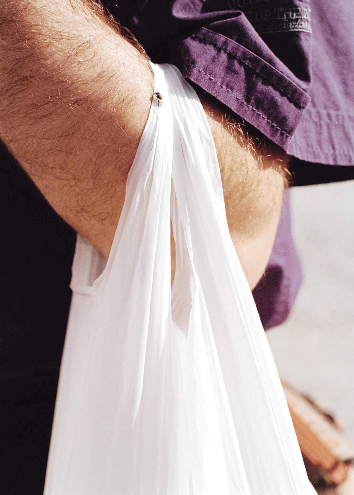 plastic-bag-with-a-fly-zine.jpg
