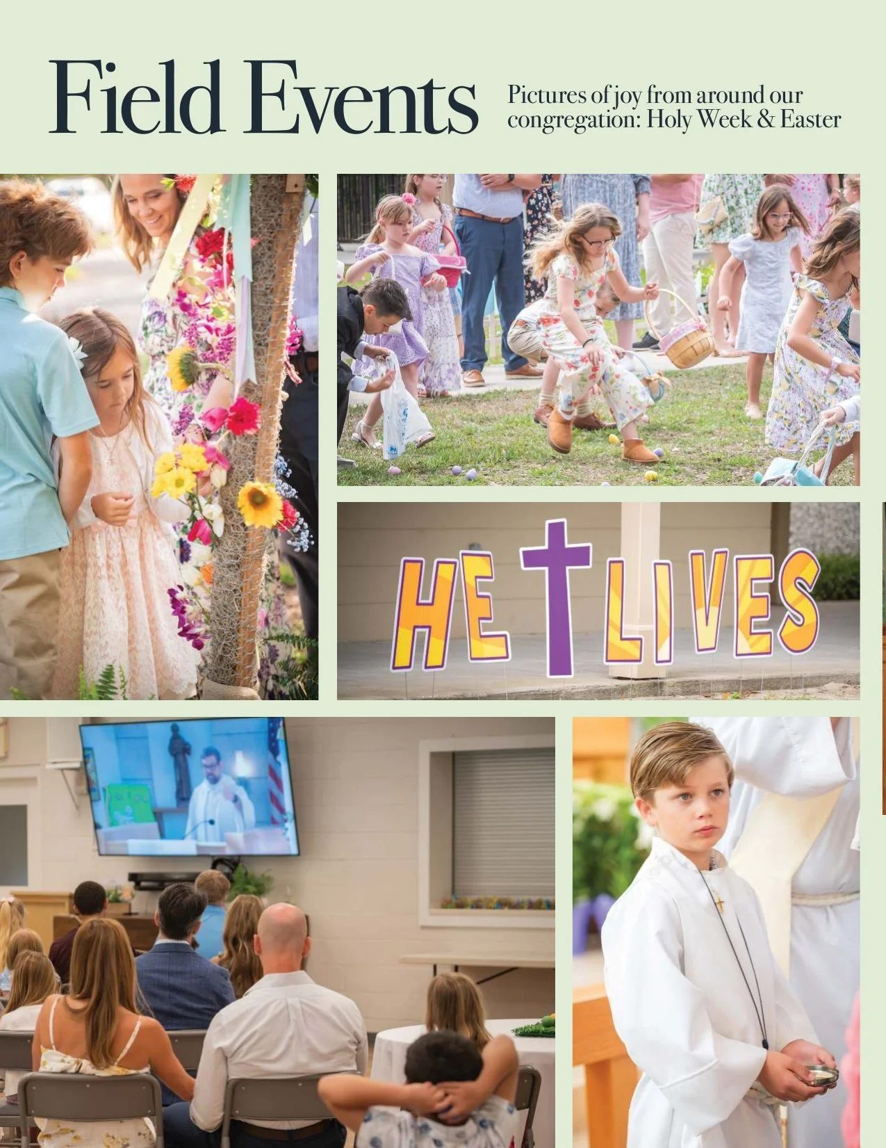 StF_FieldGuide_Issue2_Summer2026_p08.jpg