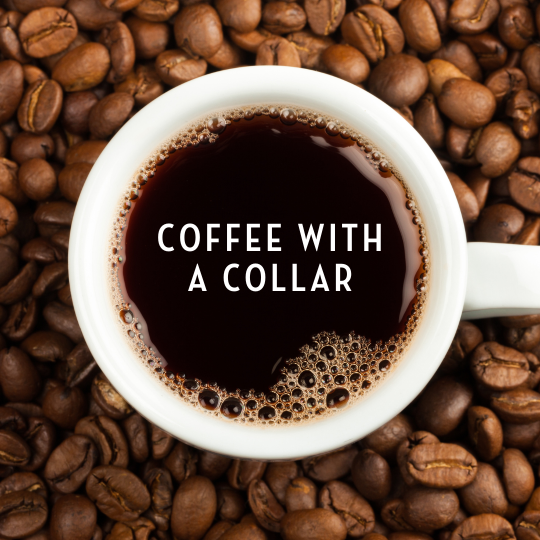 A white coffee cup filled with black coffee, placed on a bed of roasted coffee beans, with the text 'Coffee with a Collar' overlaid on the coffee.