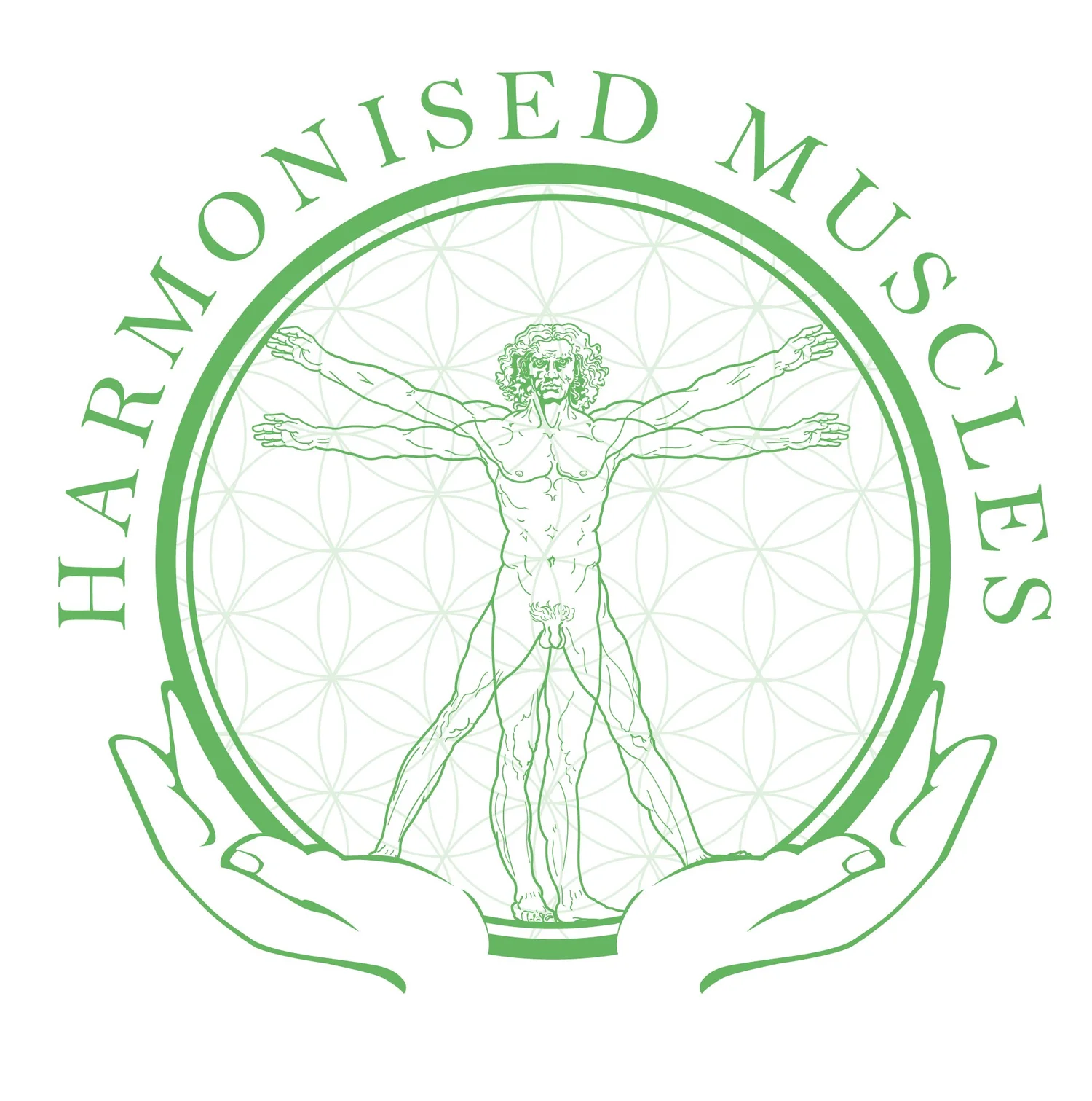 Harmonised Muscles