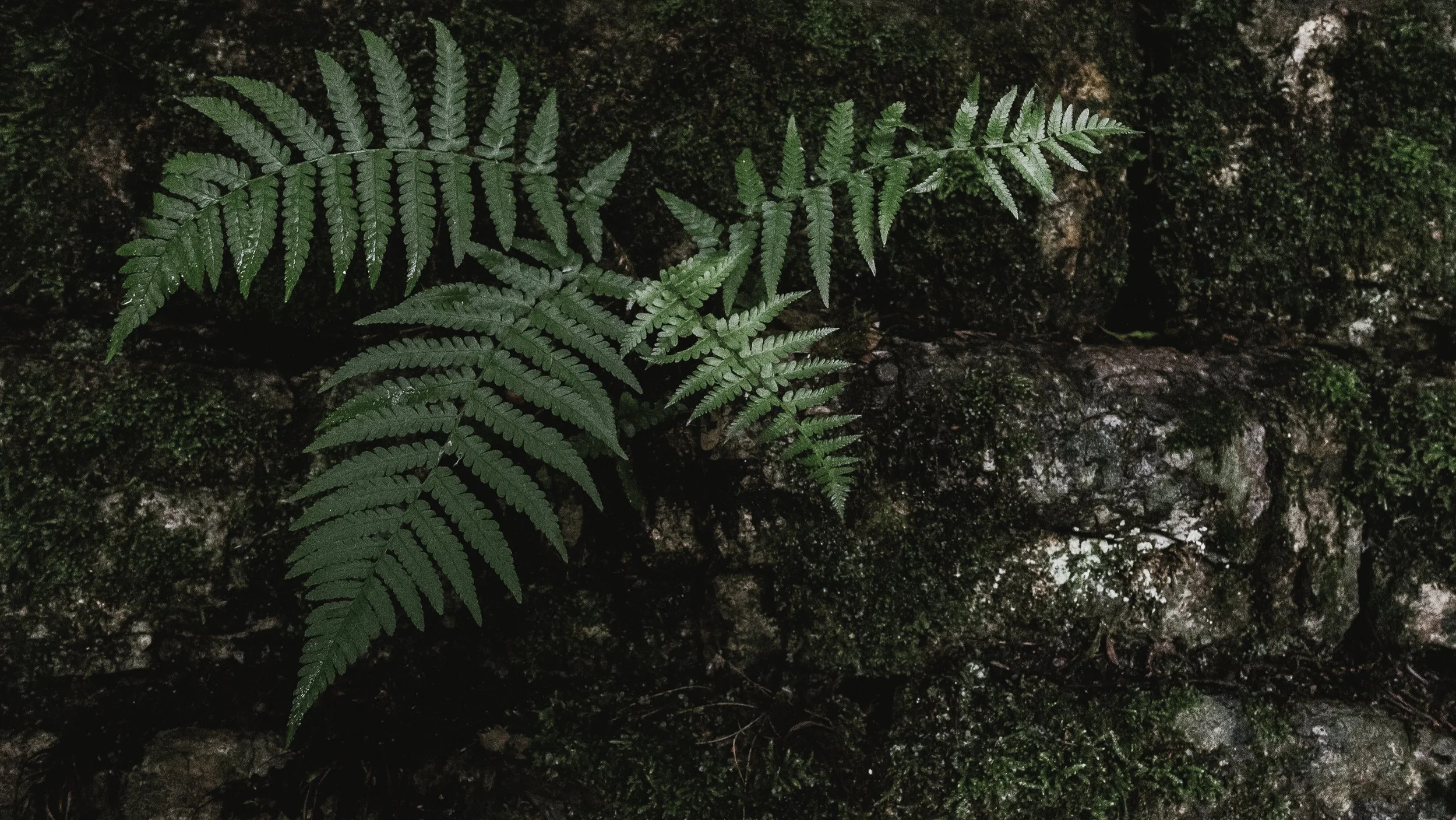 140E6E02-071C-4F99-A130-73121B4A09EE.png
