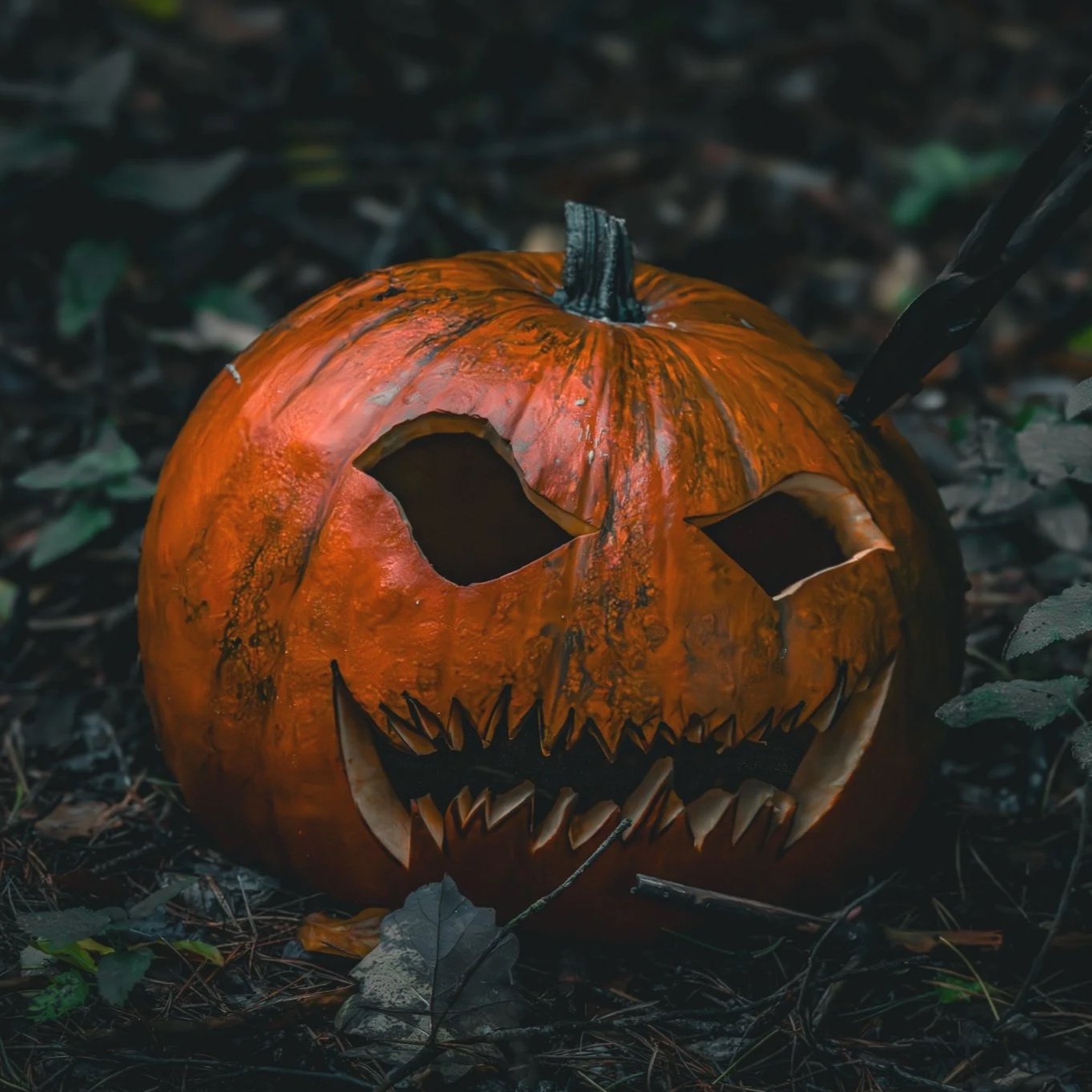 Halloween Kürbis-Kopf Shooting