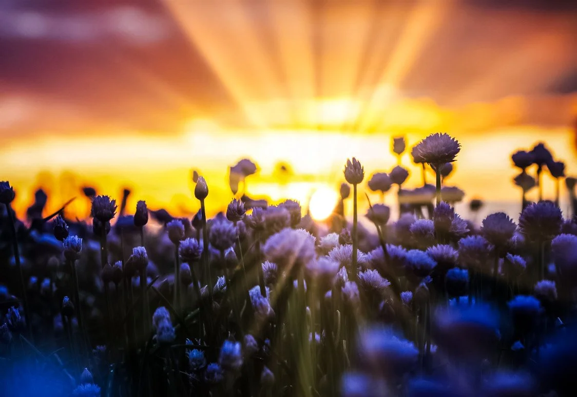 64D25890-B5F2-424A-B687-C471DC0E8D4C.JPEG