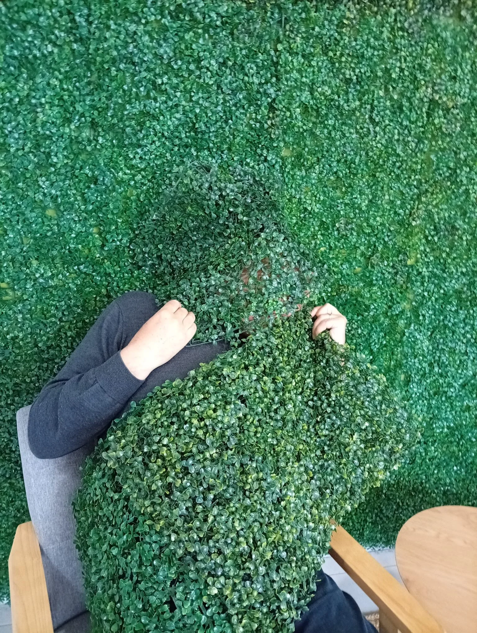 WhatsApp Image 2026-04-08 at 19.39.25 (1).jpeg