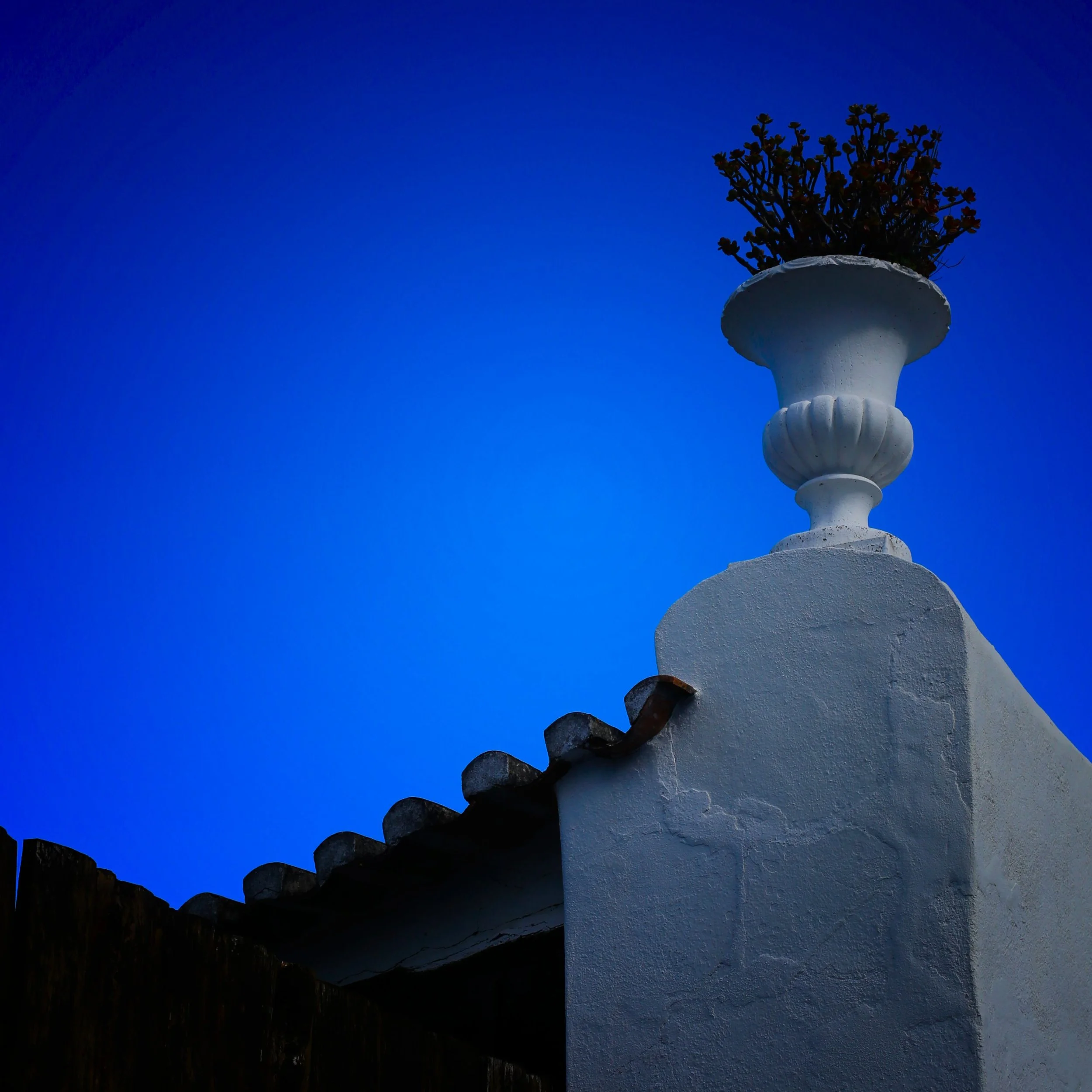 My Sintra Photo Walks are not about stiff poses or rushed snapshots. They&rsquo;re about wandering, discovering beautiful light, and creating portraits that feel natural, cinematic, and deeply personal.

Whether you're visiting Sintra, celebrating so