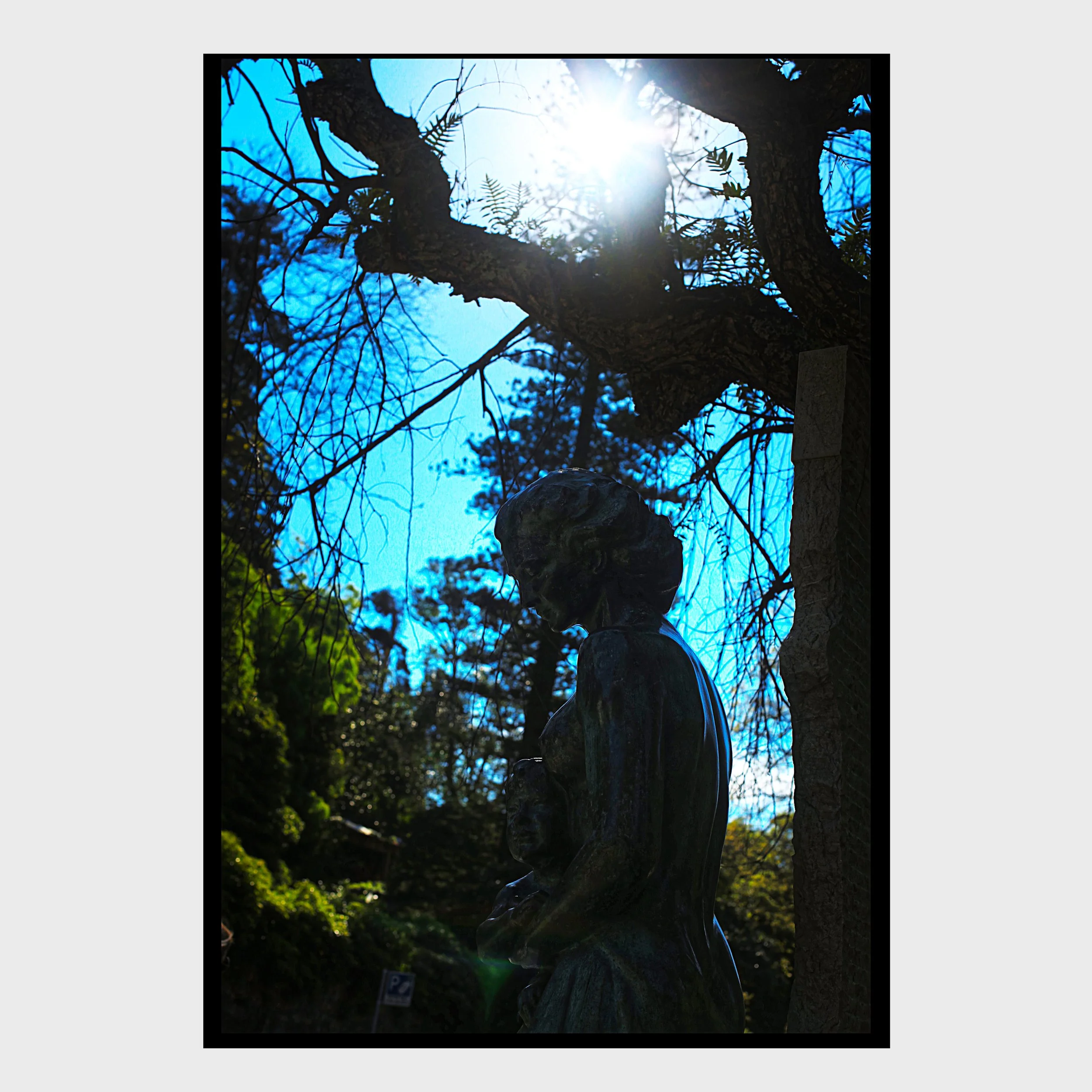 Wander through the misty paths, hidden gardens, and timeless corners of Sintra with us. 📷✨

Join our Photo Walks and capture the magic of light, shadows, architecture, and nature alongside fellow creatives and explorers. Whether you shoot with a cam